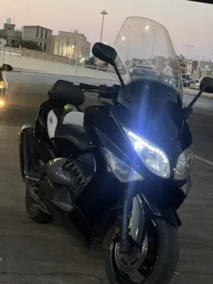 T. Max500.