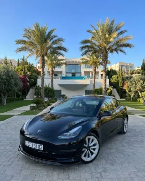 Tesla . Model 3 . Monthly4