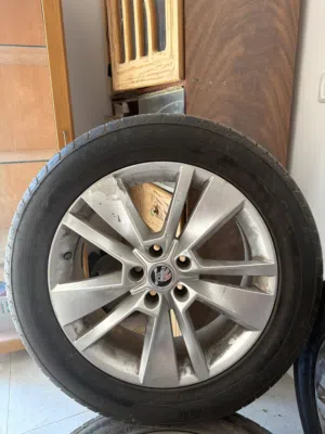 3 جنطاط مع كوشكهم