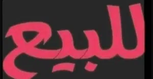 بضاعه عز متكسب وعز متربي غلض وصحه لاقوه الا بالله