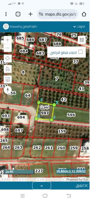 Residential Land for Sale in Irbid Aydoun
