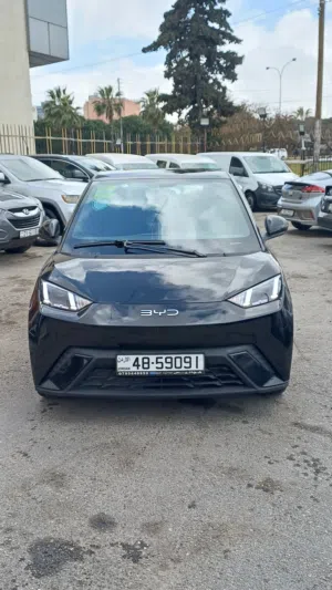 Used BYD Seagull in Amman