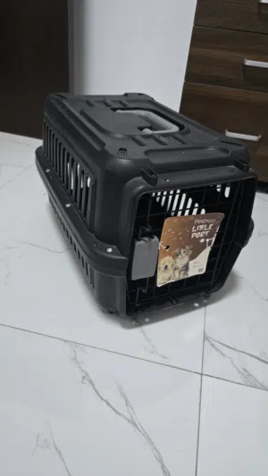 حامل قطط جديد