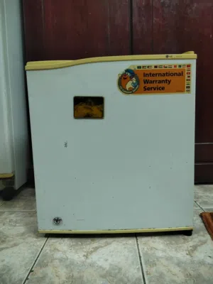 LG small fridge