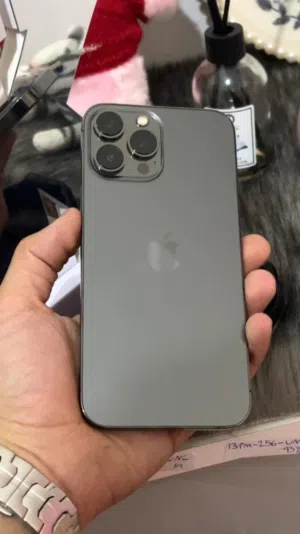 Apple iPhone 12 Pro Max 128 GB in Amman