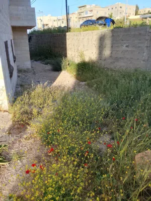 113 m2 4 Bedrooms Apartments for Sale in Irbid Aydoun