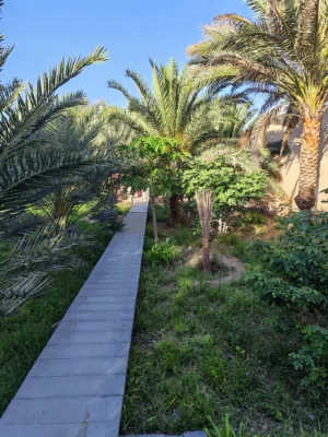 4 Bedrooms Farms for Sale in Al Dakhiliya Sumail