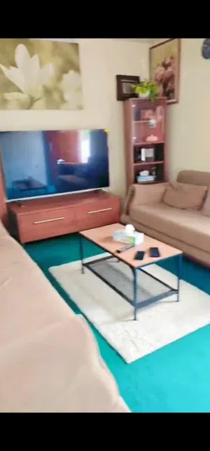 Modern TV Cabinet with Sofa Cum Bed – Great Deal