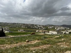 Residential Land for Sale in Amman Shafa Badran