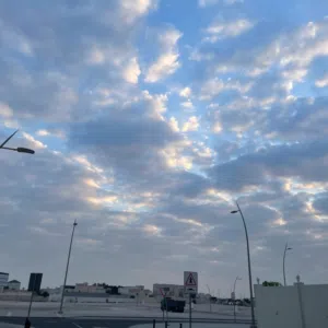 Mahmoud M 