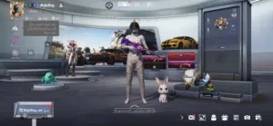 حساب ببجي بـ300