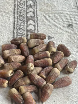 البيع تمر نغال النسنه انتاج الظاهرة.