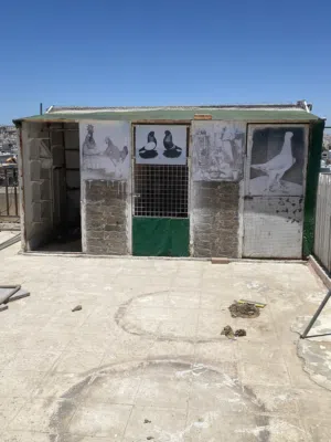 خشه للبيع