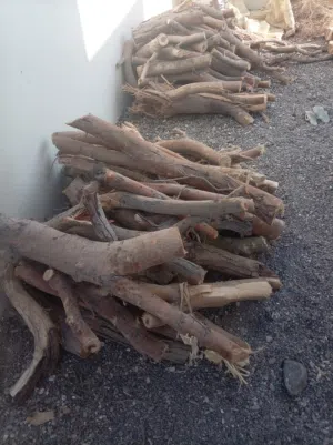 حطب سمر للبيع تتيب با 20ريال خضر شويه بعده لاكنه اموره طيبه