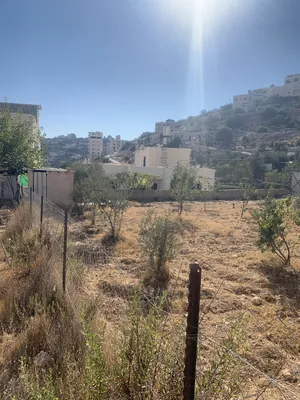 Residential . 530 m2 . Landlord3