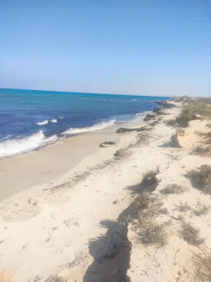 ارض مميزه للبيع عالبحر مباشر