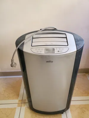 سبلت ارضي داخلي متنقل