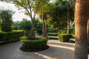 garden working