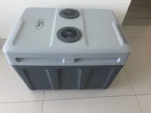 Ford 45L Portable Electric Cooler & Warmer - Dual Power (AC/DC)