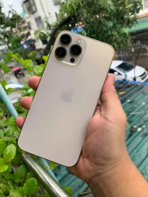 Iphone 13 Pro Max 256gb Colour Gold Everything is ok