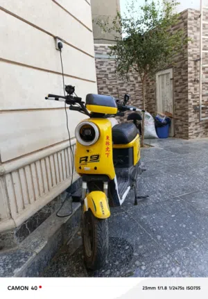 دراجة شحن أخت الجديدة مستعملا قليل