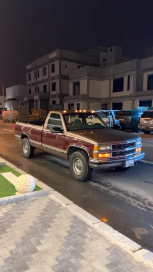 وانيت شفر 1997