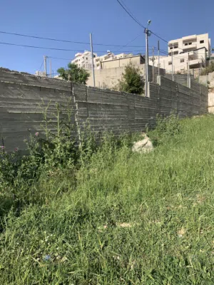 ارض للبيع في دويربان -واد الزرزير