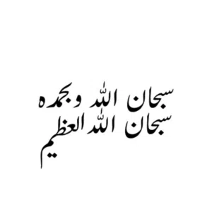 Mohamed ahmed ali 