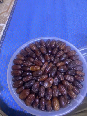 تمر فرض وخلاص وجبري للبيع