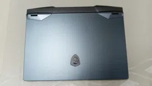 MSI Raider GE66 Intel Core i7, 32 GB RAM, 1TB Nvme, RTX3070 8GB