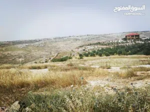 Farm Land for Sale in Irbid Sama Al-Rousan