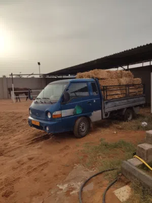 بورتر لنقل البضائع داخل وخارج مصراته
