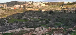 Mixed Use . 800 m2 . Landlord2