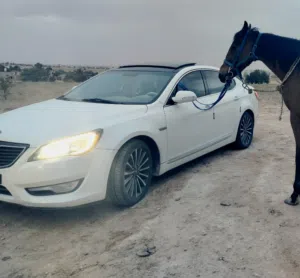 New Kia Cadenza in Zintan