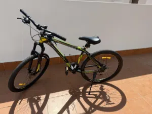 Rally bicycle 26 inch