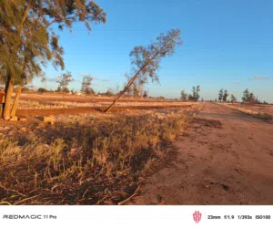 Mixed Use Land for Sale in Benghazi Sidi Faraj