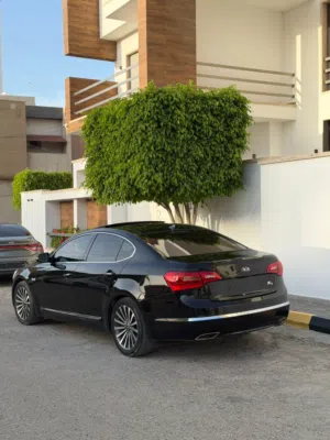 كادينزا 2012