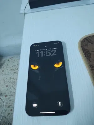 12 برو ماكس