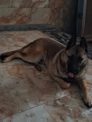 سـلاbayــم ؏ـًٰلـًَٰيِْٰكـًّٰمـًَٰ جرو ملينوا