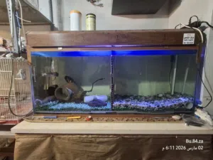 حوض سمك حجم كبير فلتر بيولجي الله ايبارك