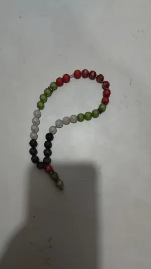 مسبحه مع علم