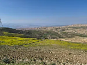 مادبا ماعين / غرب ماعين 21 دونم 125 الف ارض زراعية بمنطقة مرتفعه وذات أطلاله على البحر الميت والضفة