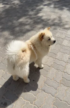 6month old
