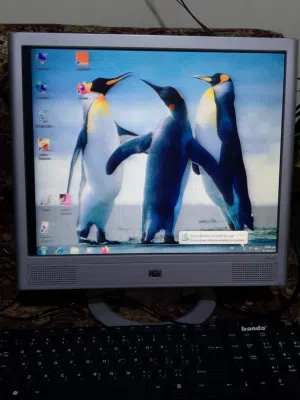 شاشه hp قديمه شوي شغاله بس فيها خطوط في الشاشه خفيفه