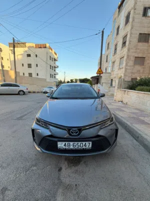Used Toyota Corolla in Amman