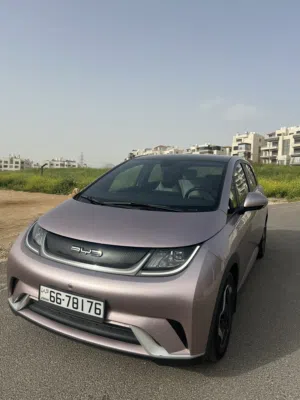Byd Dolphin 2022