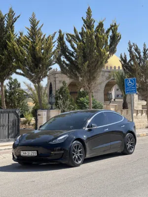 Tesla Model 3 2020 Long Range - Clean Title