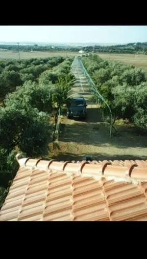 Farm Land for Sale in Madaba Al-Jbeil