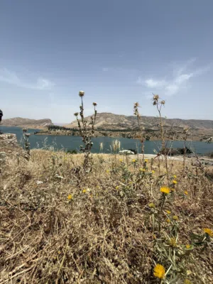 قطعة ارض افراز الحشد