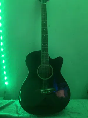 جيتار Carlos مناسب للمبتدئين